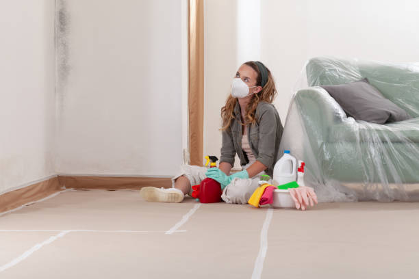 Reliable Commercial Mold Remediation contractor in Union City, MI by WQB Mold Removal